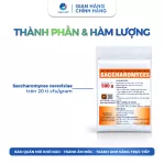 Men Tiêu Hóa Sacccharomyces Đậm Đặc